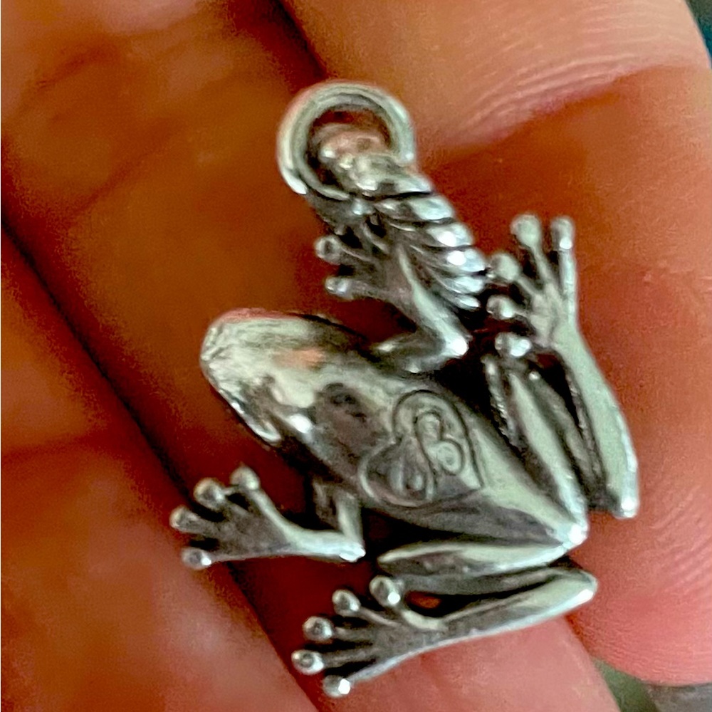 🐾3for$10🐾Brighton Frog 🐸 Charm